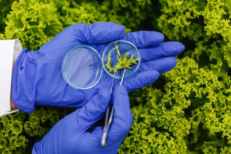 Synthetic Biology Creating Life From Scratch