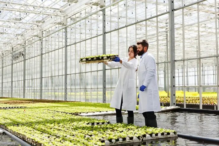 The Role of Biotechnology in Sustainable Agriculture